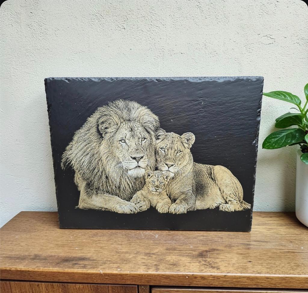 Luxe Fotogravure Leeuwenfamilie op Leisteen - Goud & Zwart E, Ophalen, Minder dan 50 cm, Overige typen, Nieuw