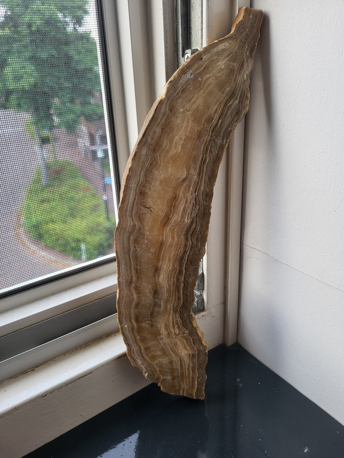 Decoratieve Steen Plaat - Natuurlijke Schoonheid, Verzamelen, Mineralen en Fossielen, Ophalen of Verzenden, Mineraal