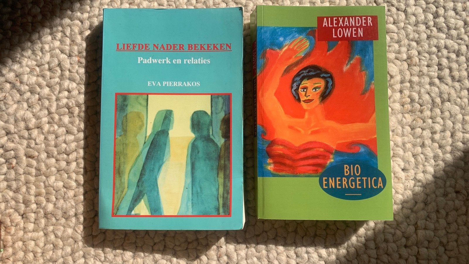 Bio energetica studie boeken, Ophalen of Verzenden, Gelezen, Algemeen