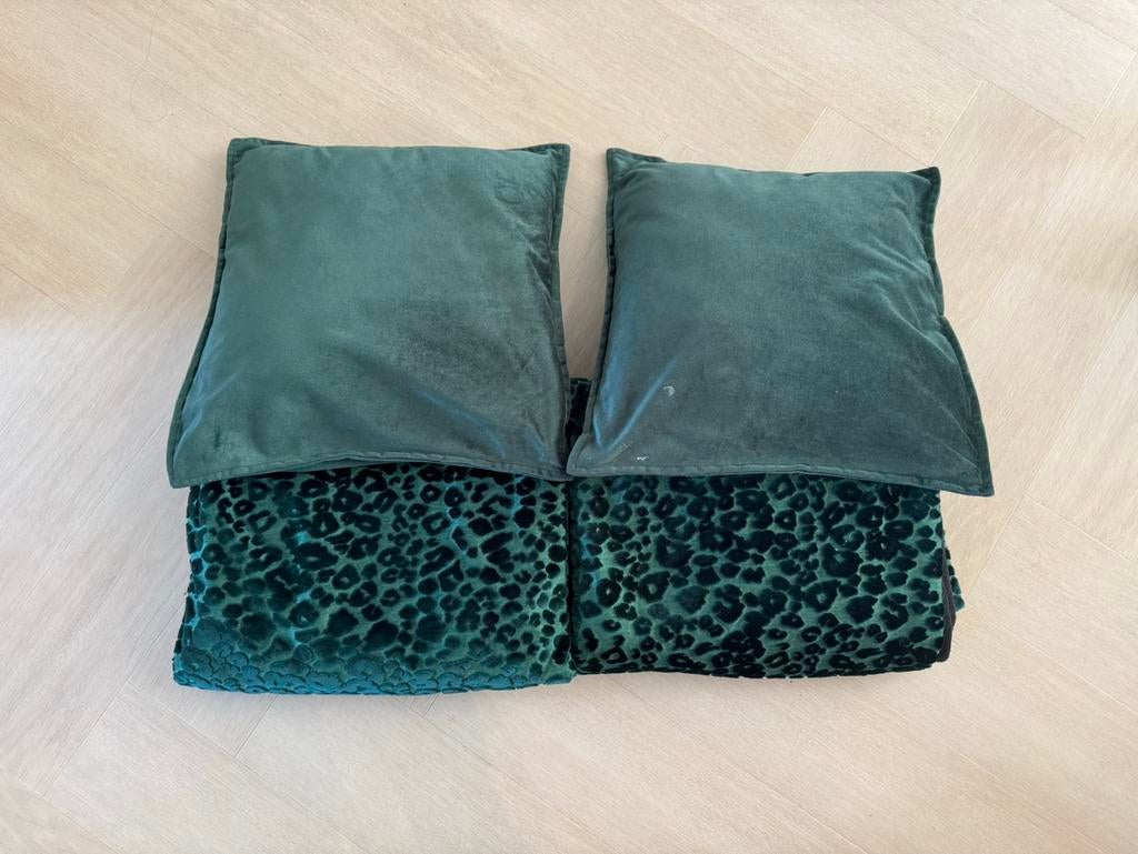 Groene plaids en kussens, Ophalen of Verzenden, Zo goed als nieuw