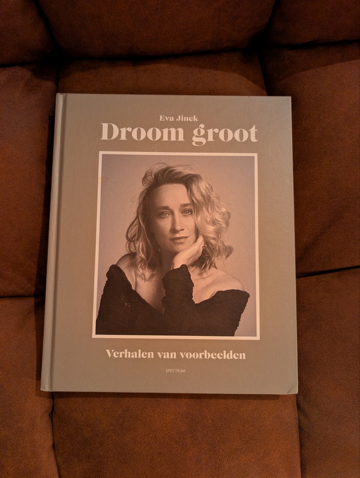 Eva Jinek - Droom groot: Verhalen van voorbeelden, Ophalen of Verzenden, Zo goed als nieuw, Eva Jinek
