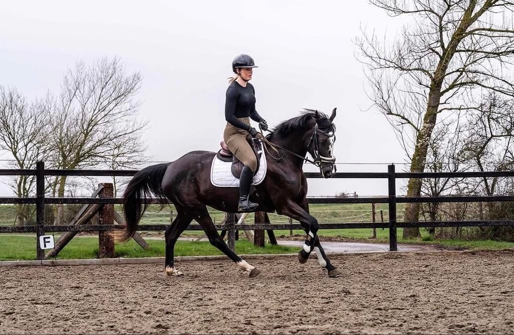 Leuke E-pony te koop, Dieren en Toebehoren, Pony's, Merrie, Zadelmak, E pony (1.48m - 1.57m), 3 tot 6 jaar