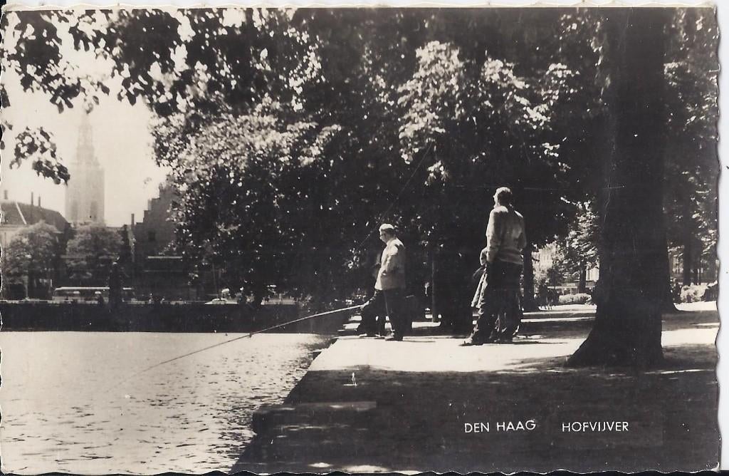 K256 ongelopen oude ansichtkaart den haag de hofvijver, Ophalen of Verzenden, 1960 tot 1980, Gelopen, Zuid-Holland