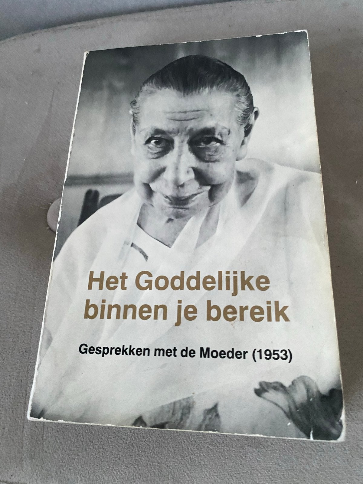 Het Goddelijke binnen je bereik - Gesprekken met de Moeder, Ophalen of Verzenden, Gelezen, Spiritualiteit algemeen, Achtergrond en Informatie