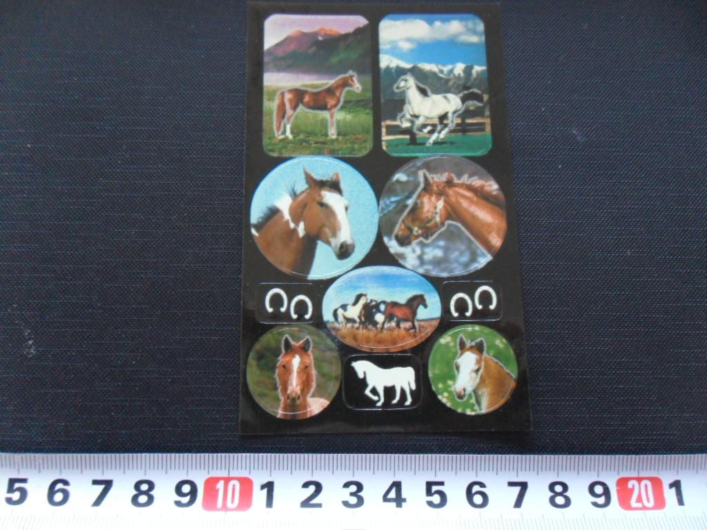 sticker set paard paarden GD090, Verzamelen, Stickers, Zo goed als nieuw, Ophalen