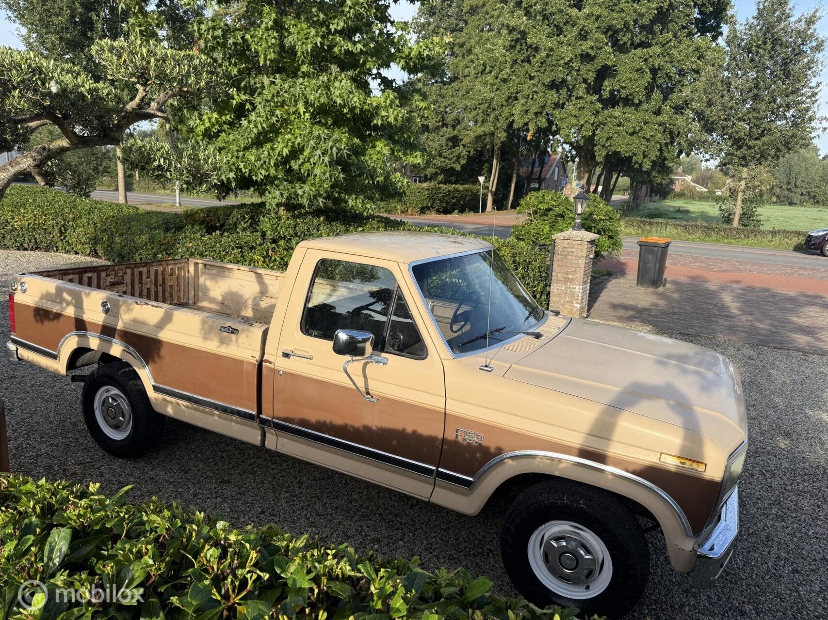 Ford F-150 5.0 V8 EFI Automaat 1986, foto 9