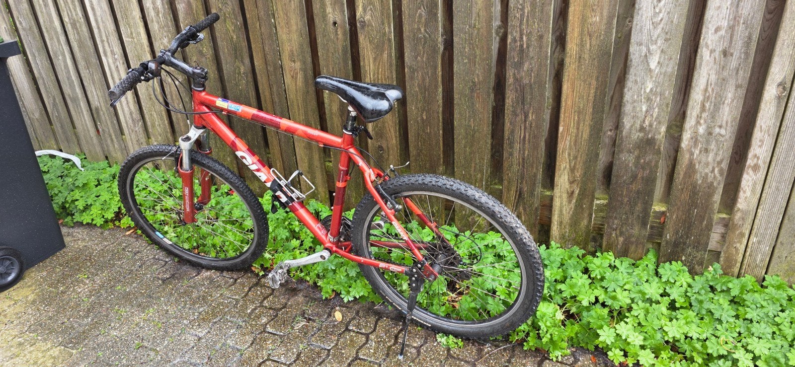 Giant Mountainbike, Ophalen, Gebruikt, Hardtail, Heren