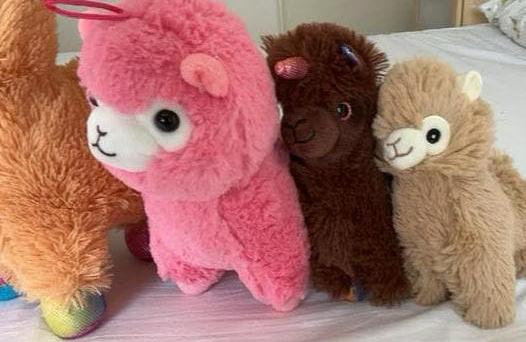 Vijf schattige alpaca knuffels, Overige typen, Ophalen of Verzenden, Zo goed als nieuw, Middelgroot (20 tot 80 cm)
