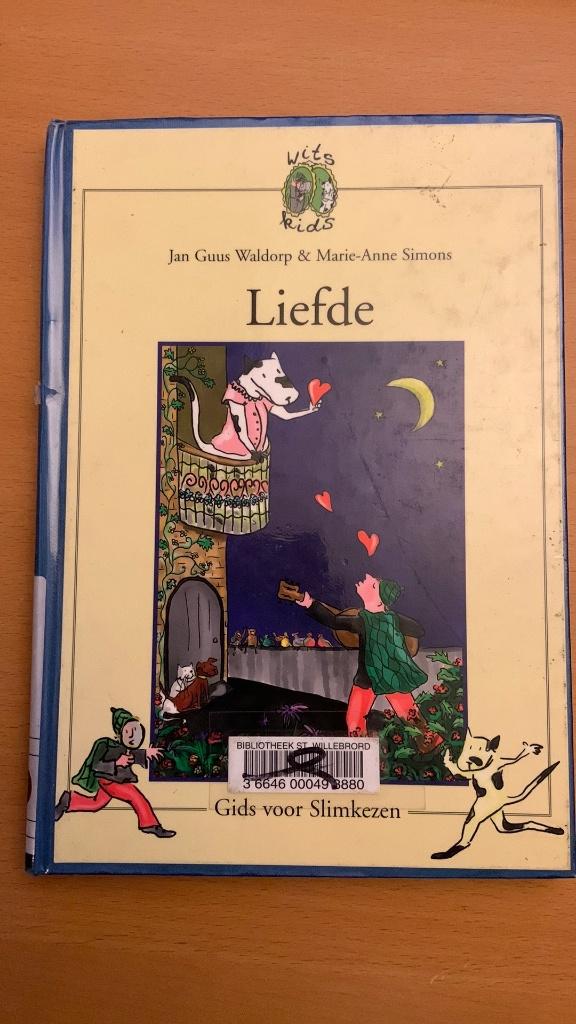 Jan Guus Waldorp - Marie-Anne Simons - Liefde, Ophalen of Verzenden, Fictie algemeen