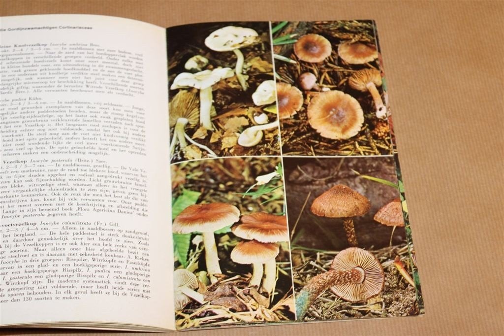 Zeldzame Paddestoelen — 112 Soorten in Kleur, Ophalen of Verzenden, Gelezen, Vogels
