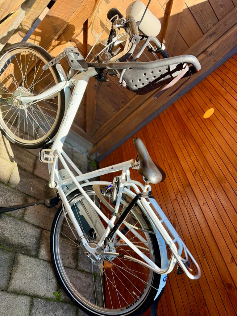 Batavus Mambo Damesfiets met Kinderzitje en Windscherm, Fietsen en Brommers, Fietsen | Dames | Damesfietsen, Gebruikt, Batavus