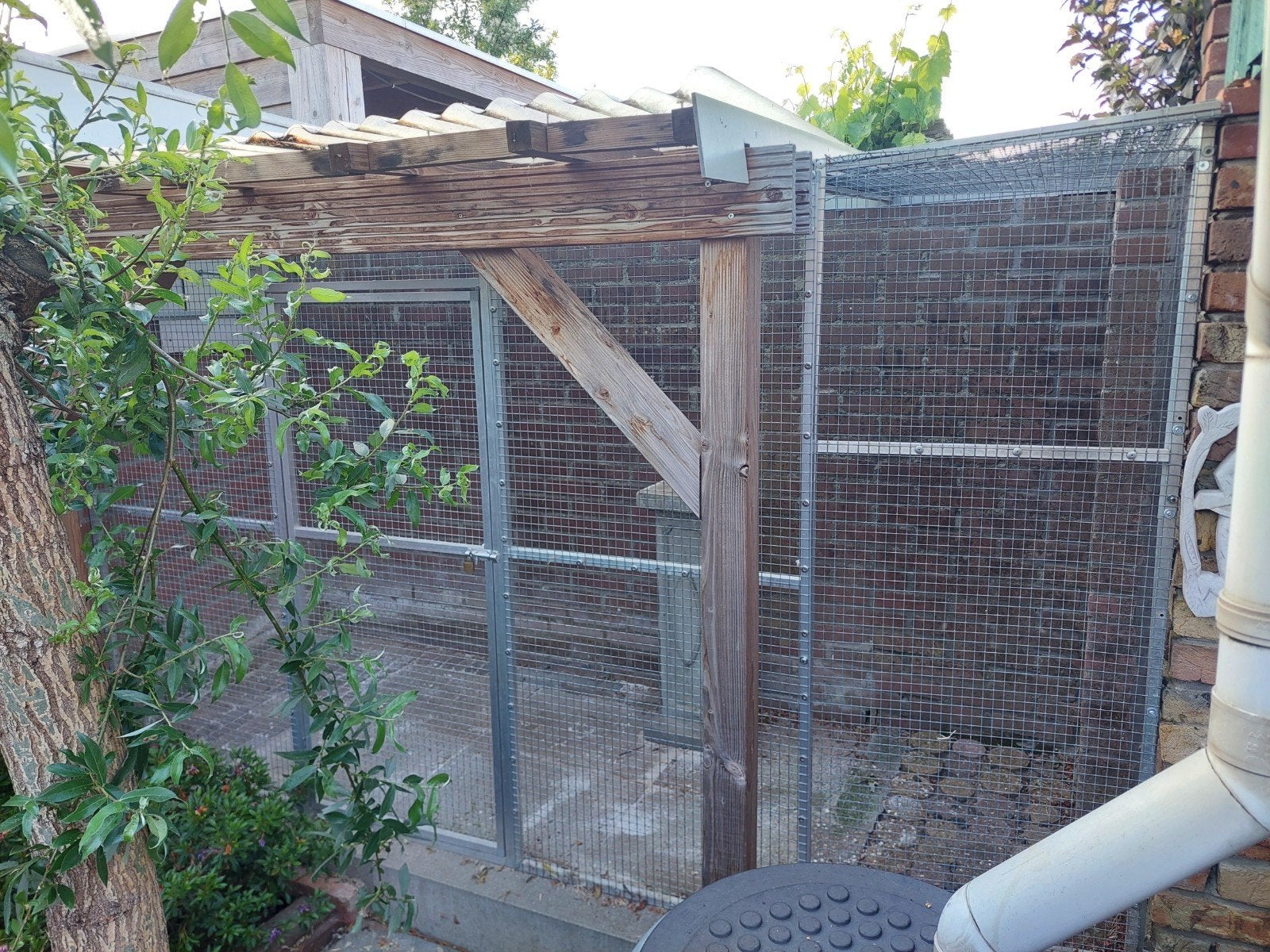 kattenren, Dieren en Toebehoren, Katten-accessoires, Ophalen of Verzenden