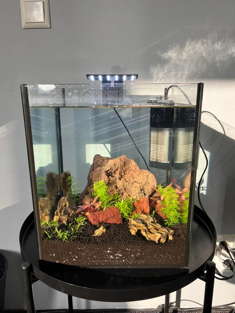 Aqarium 25-30 liter, Dieren en Toebehoren, Vissen | Aquaria en Toebehoren, Zo goed als nieuw, Overige typen, Inclusief toebehoren