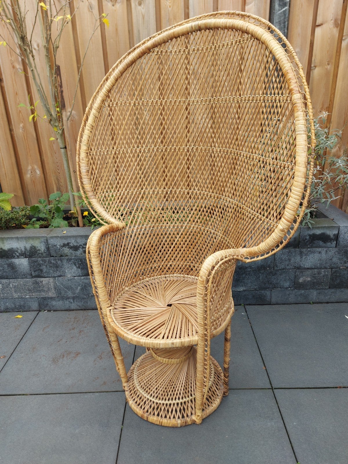 Vintage Bohemian Jaren '70' Rotan Pauwenstoel, Ophalen