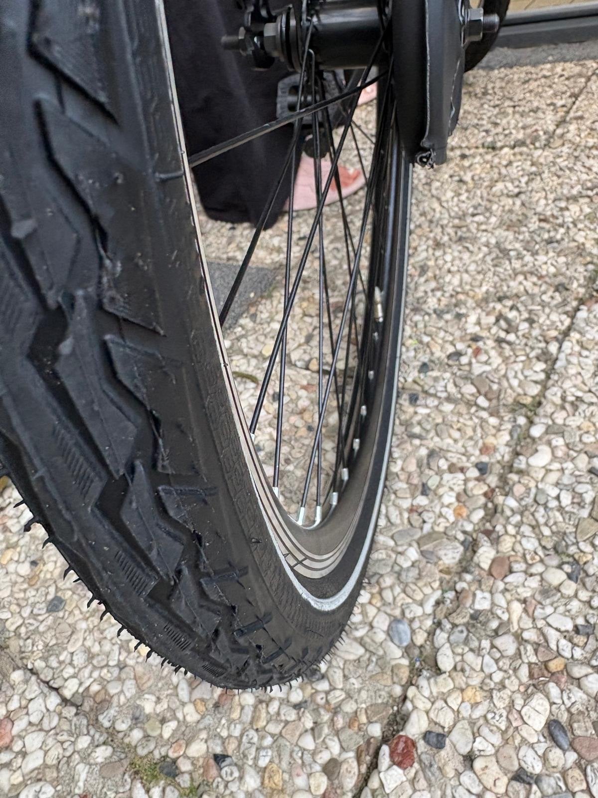 Nieuwe zwarte fiets met voordrager, Terugtraprem, 53 tot 56 cm, Versnellingen, Nieuw
