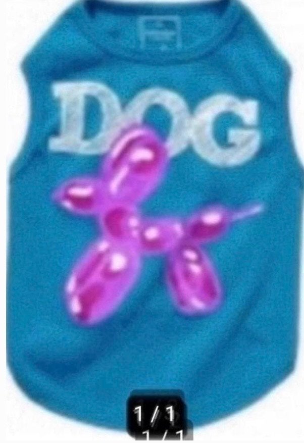 Prachtig shirtje, Dieren en Toebehoren, Hondenkleding, Ophalen of Verzenden, Nieuw, Hondentrui