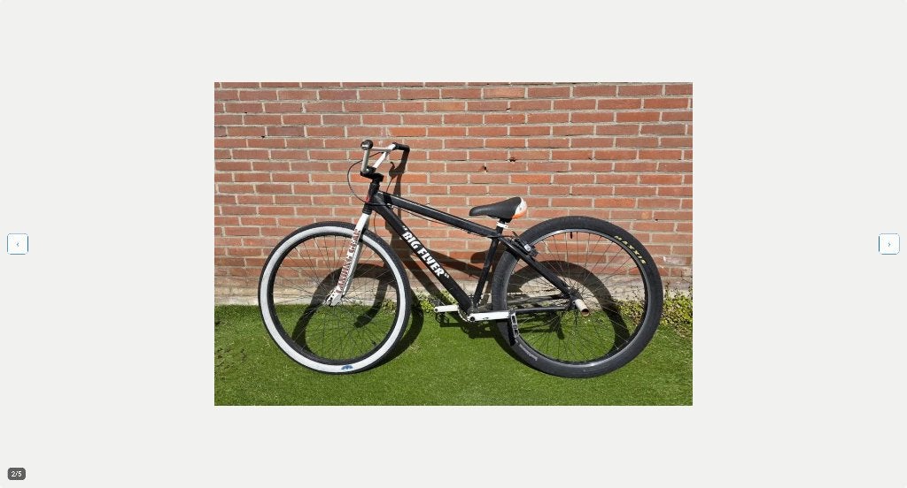 Big Flyer SE Bike 29” Wheelie Bike + Magura hydraulische rem, Fietsen en Brommers, Fietsen | Crossfietsen en BMX, Ophalen, Gebruikt