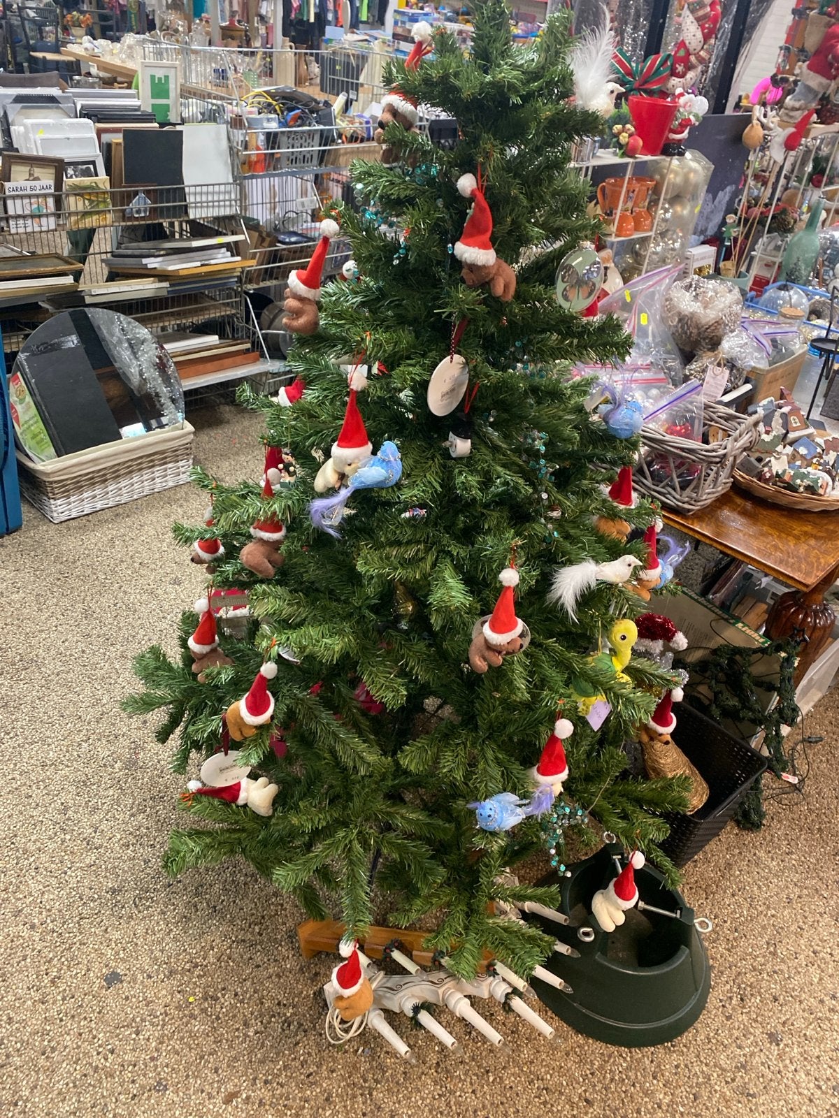Kerstboom, Ophalen, Zo goed als nieuw