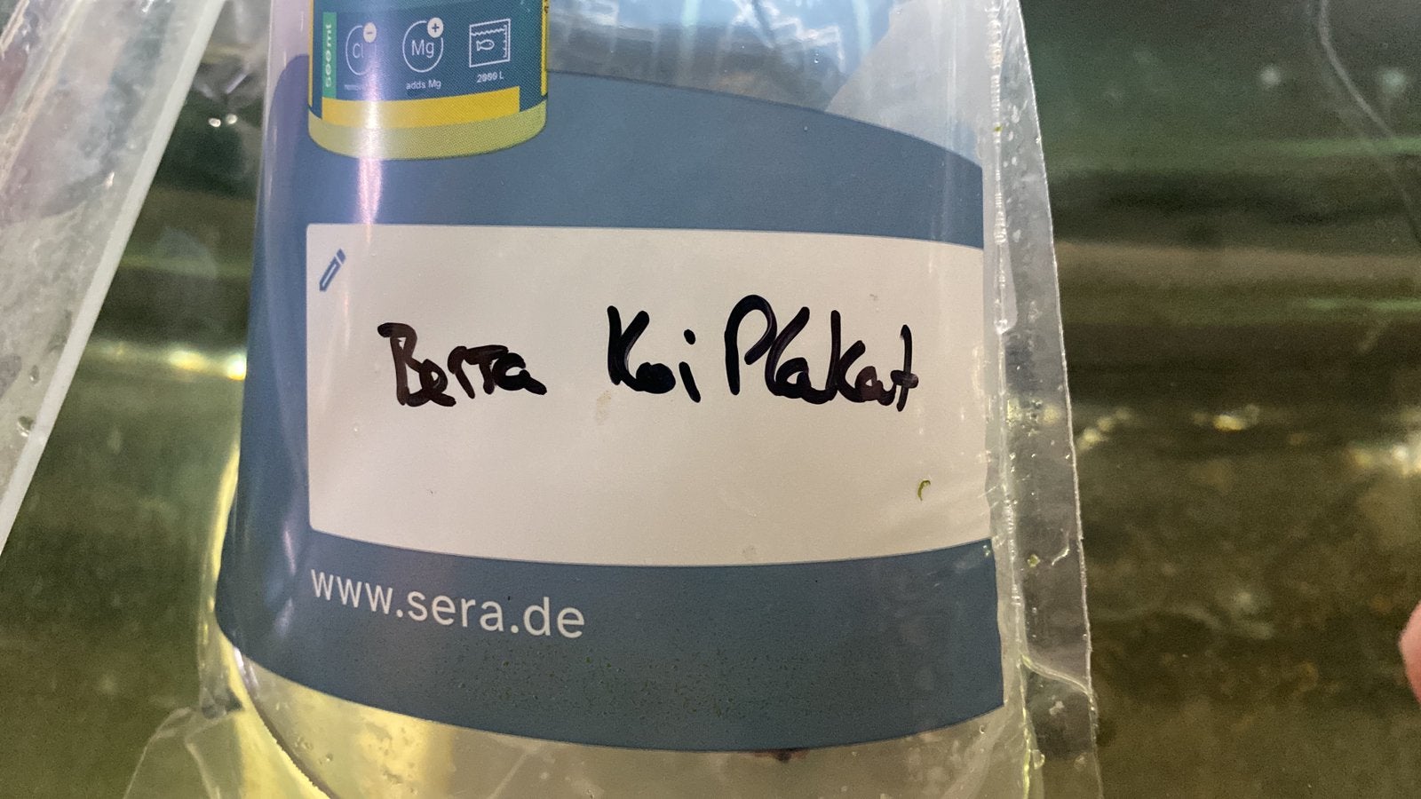 Op zoek naar betta, Vis, Zoetwatervis