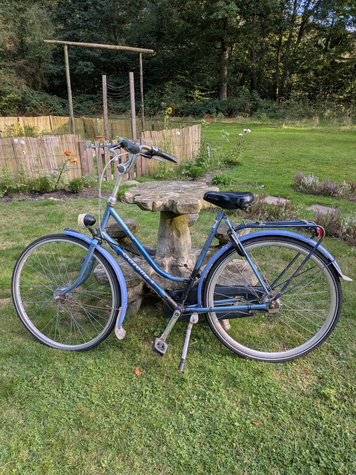 Damesfiets met lekke voorband, Ophalen, Gebruikt