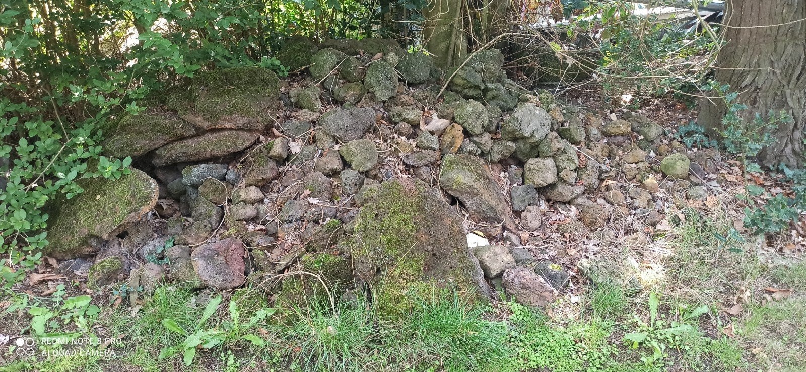 broekstenen voor tuindecoratie, Tuin en Terras, Ophalen