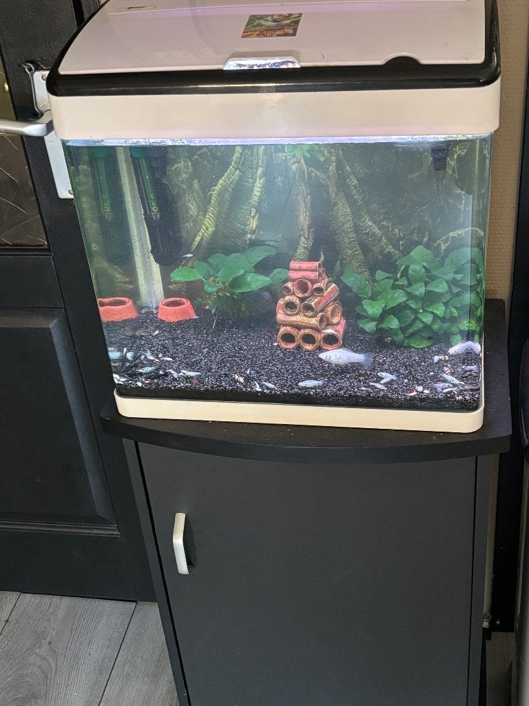 Aquarium + meubel + inhoud, Ophalen, Gebruikt, Gevuld zoetwateraquarium, Superfish