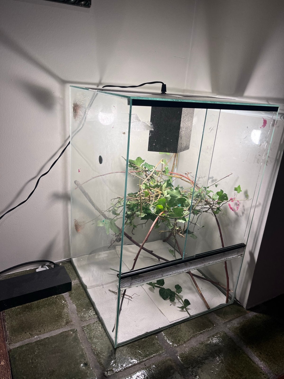 Terrarium 40x40x59 cm met verlichting, Dieren en Toebehoren, Ophalen, Gebruikt, Terrarium of Paludarium