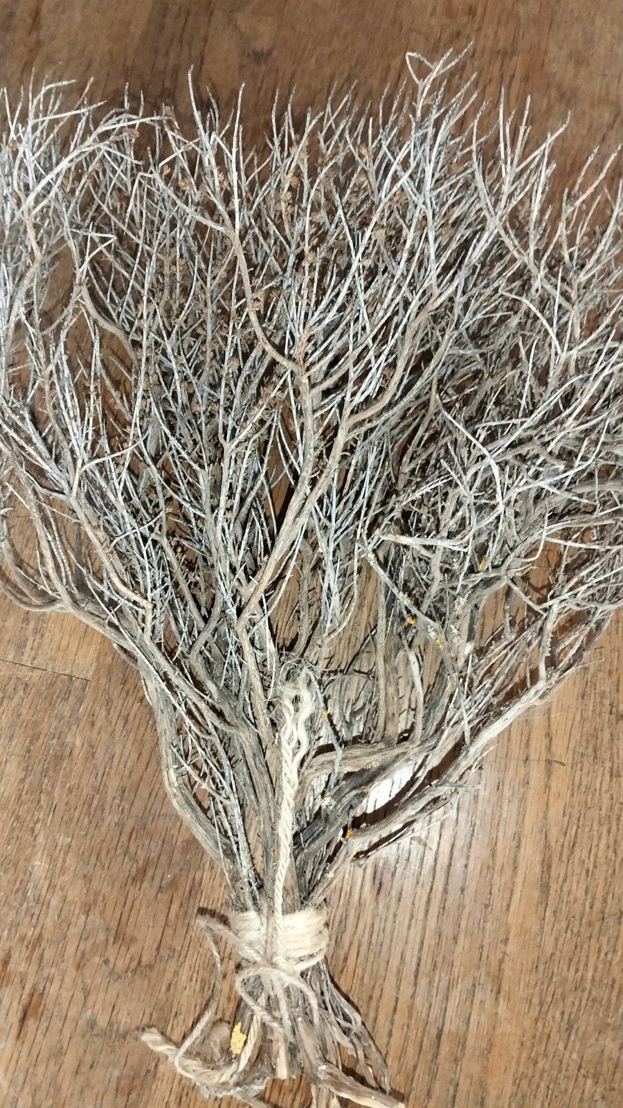 Mooie grotere bos gedroogde takken, Huis en Inrichting, Woonaccessoires | Droogbloemen, Gebruikt, ., Ophalen of Verzenden, .