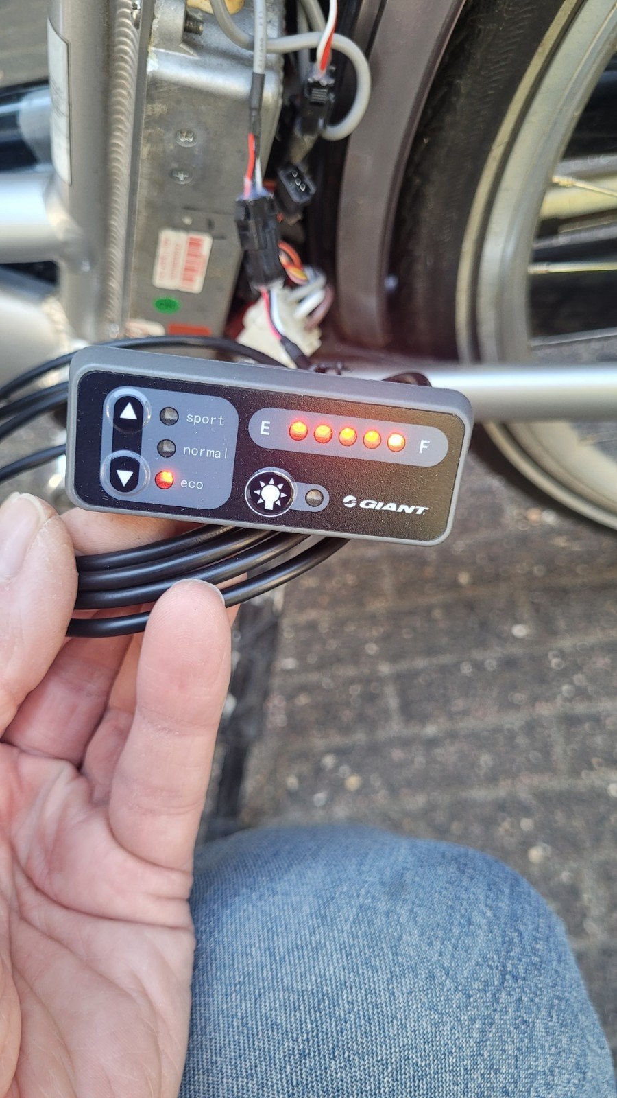 Nieuw Giant Twist Double Display 3 pins, Nieuw