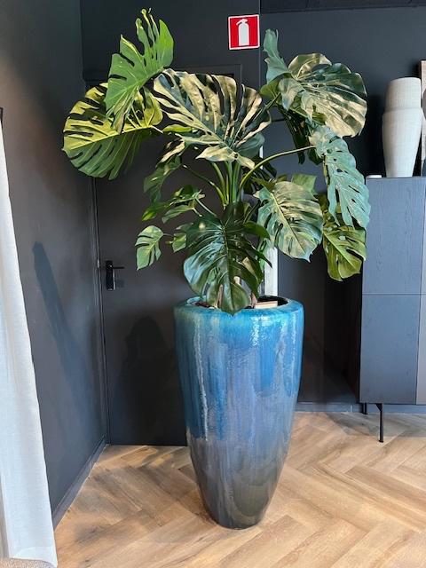 grote pot voor binnen, ca. 100cm hoog, Ophalen, 40 cm of meer, Rond, Binnen