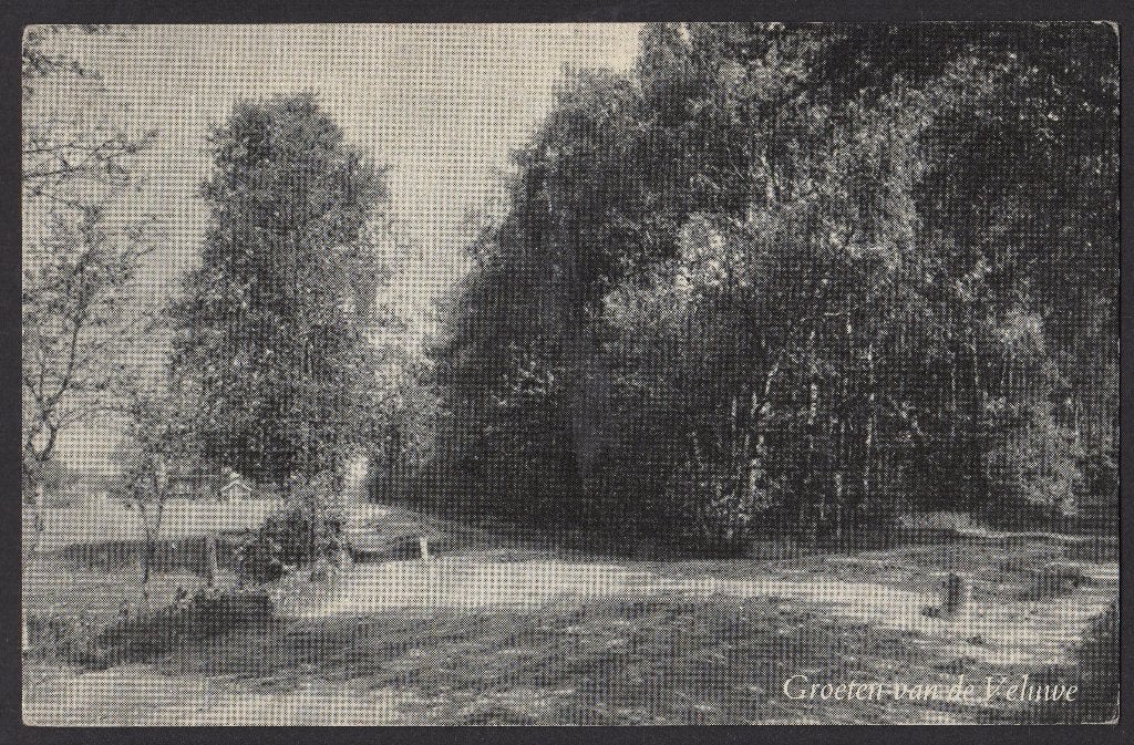 Putten, Groeten van de Veluwe, Vakantie Centrum, gebr. 1960, Ophalen of Verzenden, 1940 tot 1960, Gelopen, Gelderland