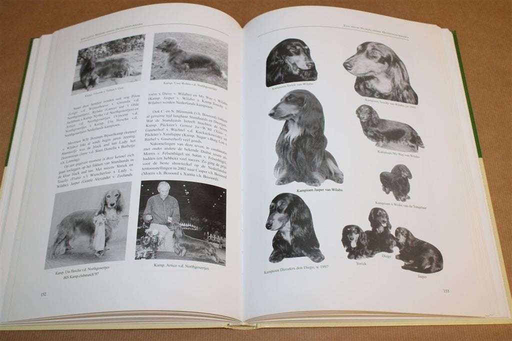100 jaar Teckels in Nederland — Jubileumboek NTC, 2003, Boeken, Ophalen of Verzenden, Zo goed als nieuw, Honden
