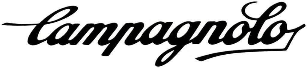 Campagnolo sticker #1, Verzenden