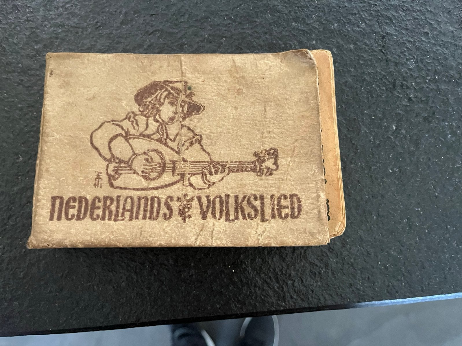 Nederlands Volkslied - Liederen en Canons - Jop Pollmann & P, Ophalen of Verzenden, Gelezen, Genre of Stijl