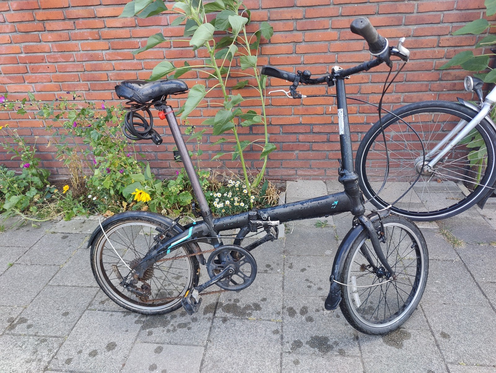 DAHON Vouwfiets - Compact en Handig, Ophalen, 20 inch of meer, Gebruikt, Versnellingen