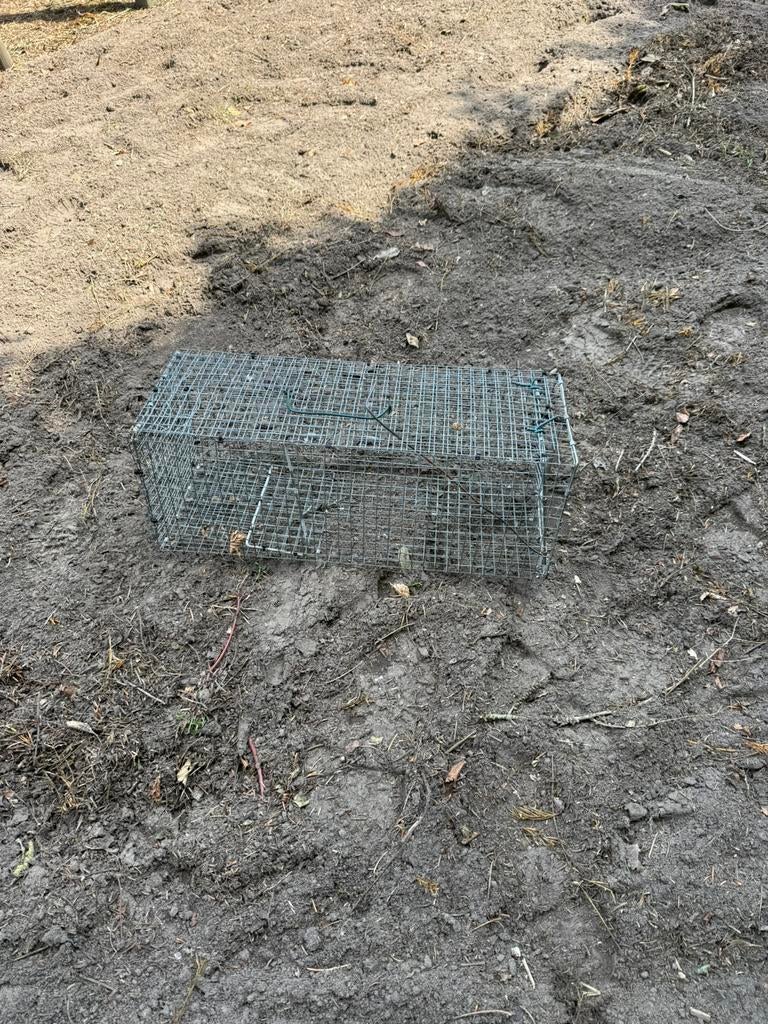 Vang kooien beschilderde groote ., Tuin en Terras, Ophalen of Verzenden, Gebruikt, Minder dan 10 meter