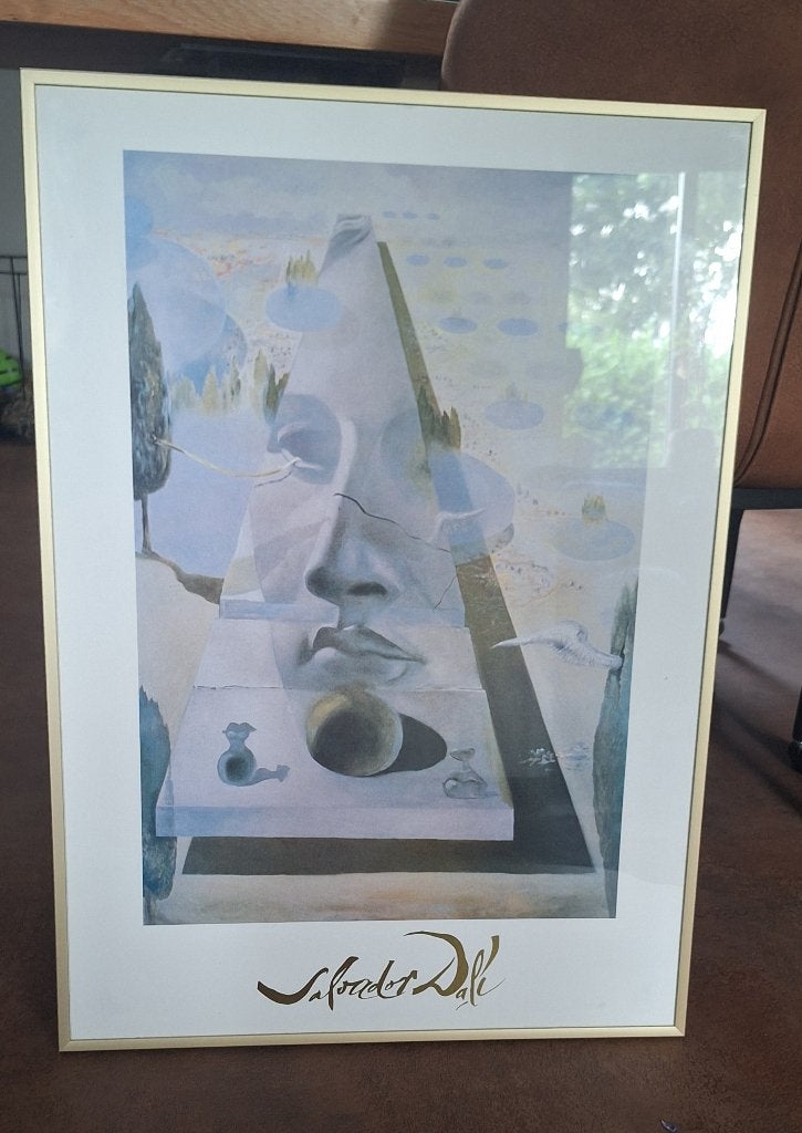 Reproductie schilderij van Salvador Dali., Ophalen, 50 – 75, Zo goed als nieuw, Foto of Poster