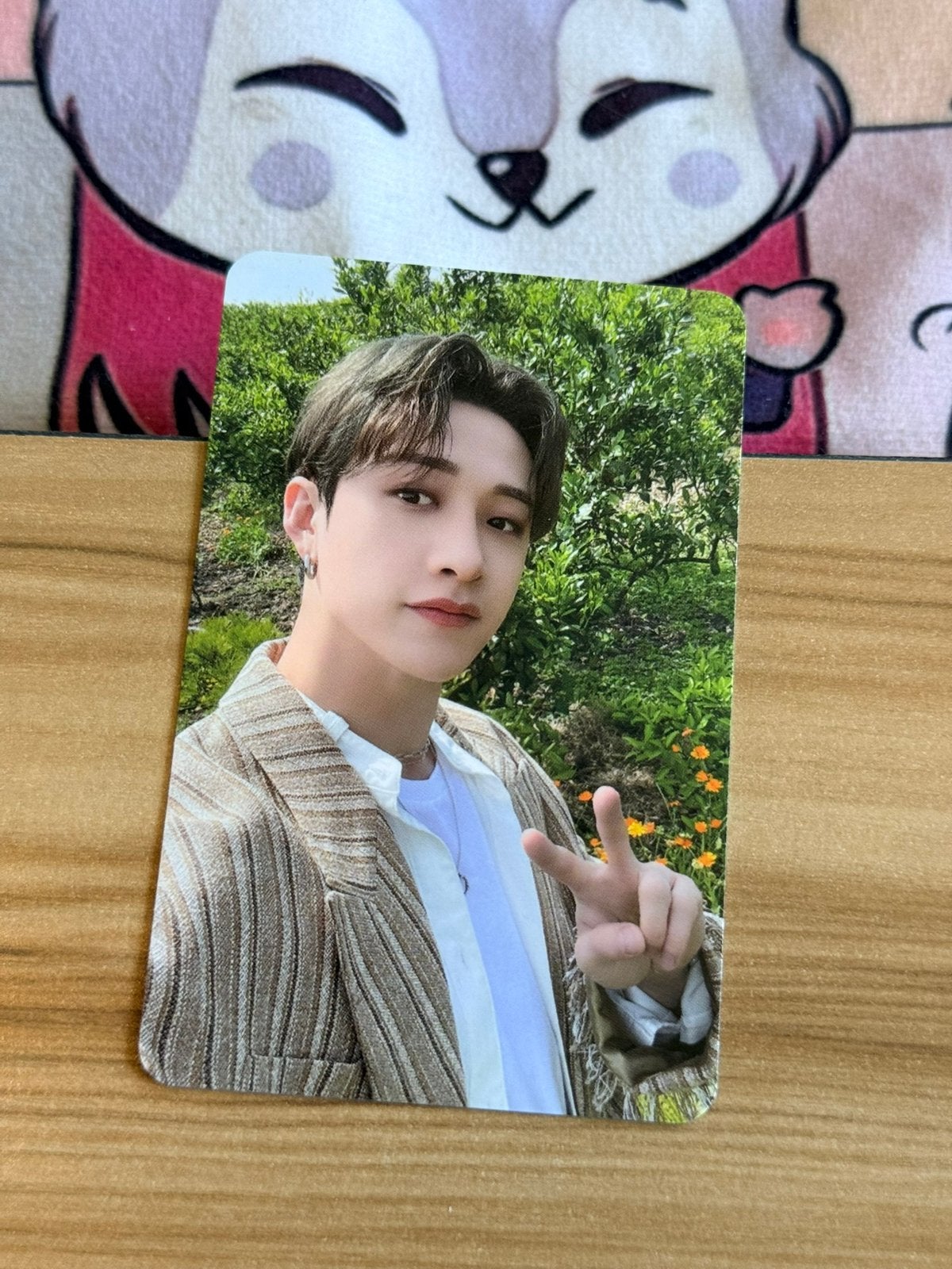 Stray Kids Bang Chan photo card stay in stay in jeju, Ophalen of Verzenden, Zo goed als nieuw, Foto of Kaart