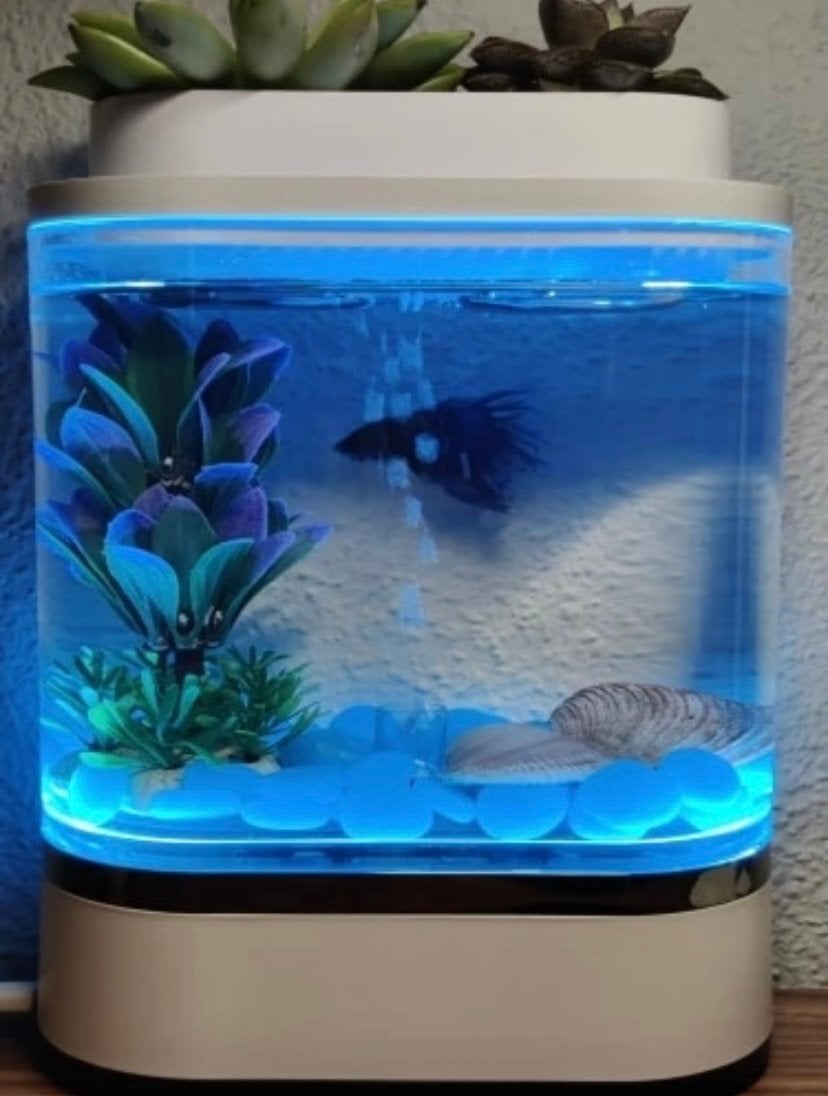 3L aquarium quarantaine bak / vaas met pomp/bubbels/filter, Vissenkom, Gebruikt, Pomp, Overige merken