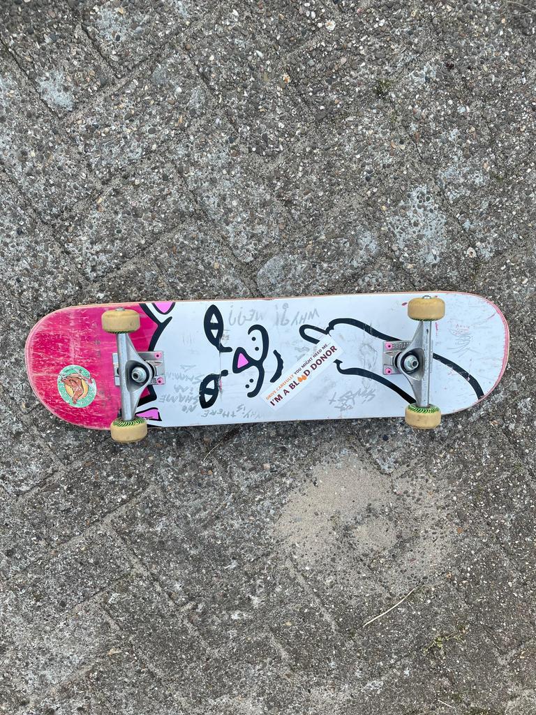 Ripndip skateboard, Verzenden, Gebruikt, Skateboard
