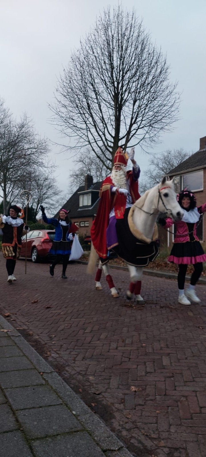 Huisbezoek Sint en Pieten, Diversen, Ophalen of Verzenden