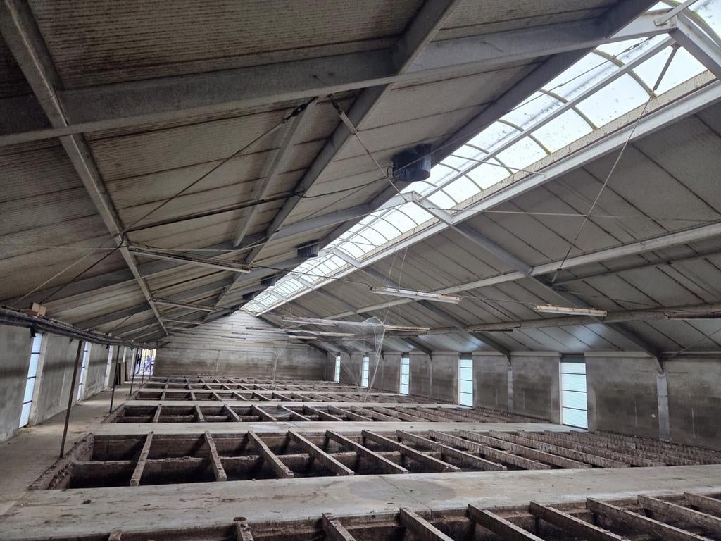 Stalen en houten balken, dakplaten en montagemateriaal, Ophalen