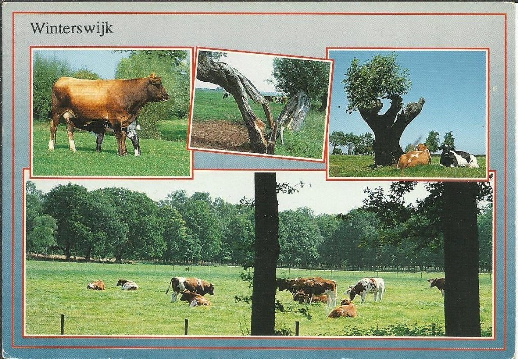 Winterswijk   126a, Ophalen of Verzenden, Voor 1920, Gelderland