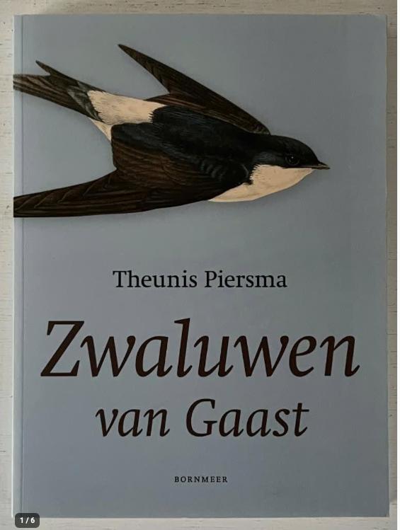 Zwaluwen van Gaast, Ophalen of Verzenden, Zo goed als nieuw, Vogels