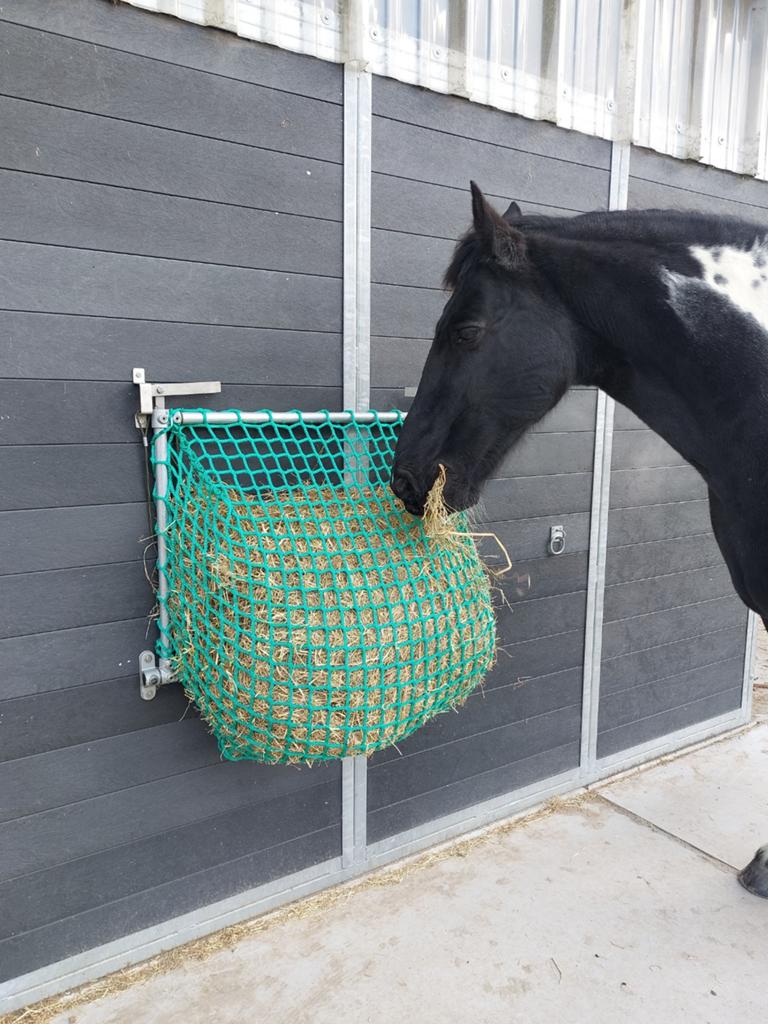 Super handige slowfeeder, Ophalen of Verzenden, Nieuw, Overige soorten