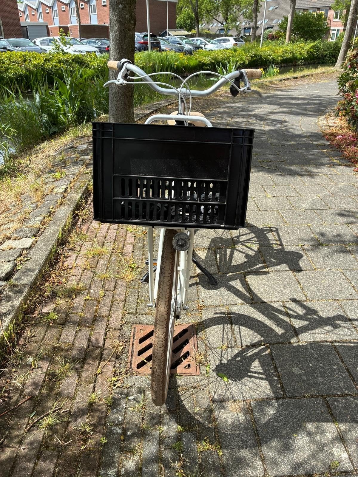 Batavus Diva met voordrager en krat., Fietsen en Brommers, Fietsaccessoires | Fietsmanden, Ophalen of Verzenden, Zo goed als nieuw