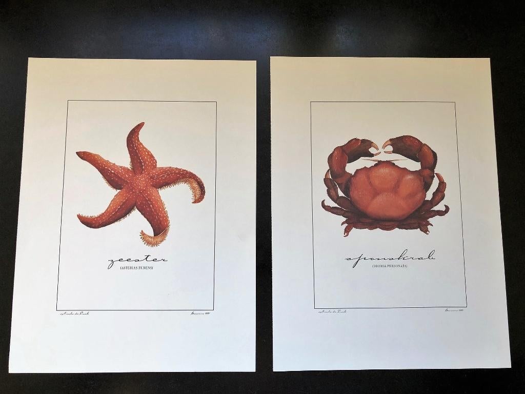 Prent Nicole de Cock Zeester Sponskrab 20 x 27 cm, Ophalen of Verzenden, 1980 tot heden, Gebruikt, Overige onderwerpen