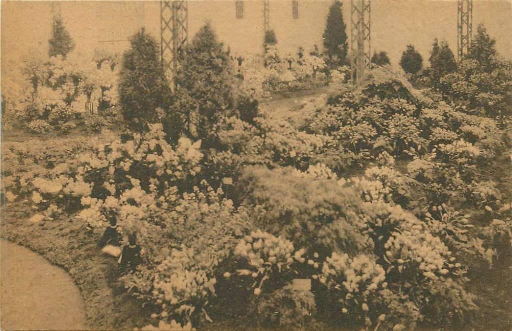 381-240-029 Floralies Gantoises, Verzenden, Voor 1920, Overig Europa