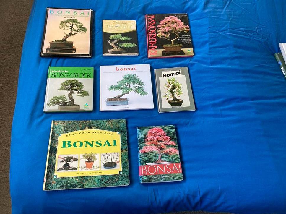 Bonsai boeken Peter Chan tomlinson, Ophalen of Verzenden, Gelezen, Overige onderwerpen