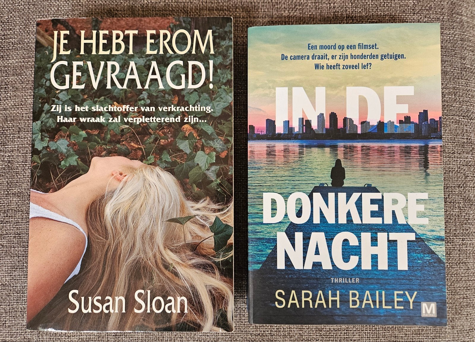 Thriller boeken: Je Hebt Erom Gevraagd! & In De Donkere Nach, Ophalen of Verzenden, Gelezen, Susan Sloan, Sarah Bailey